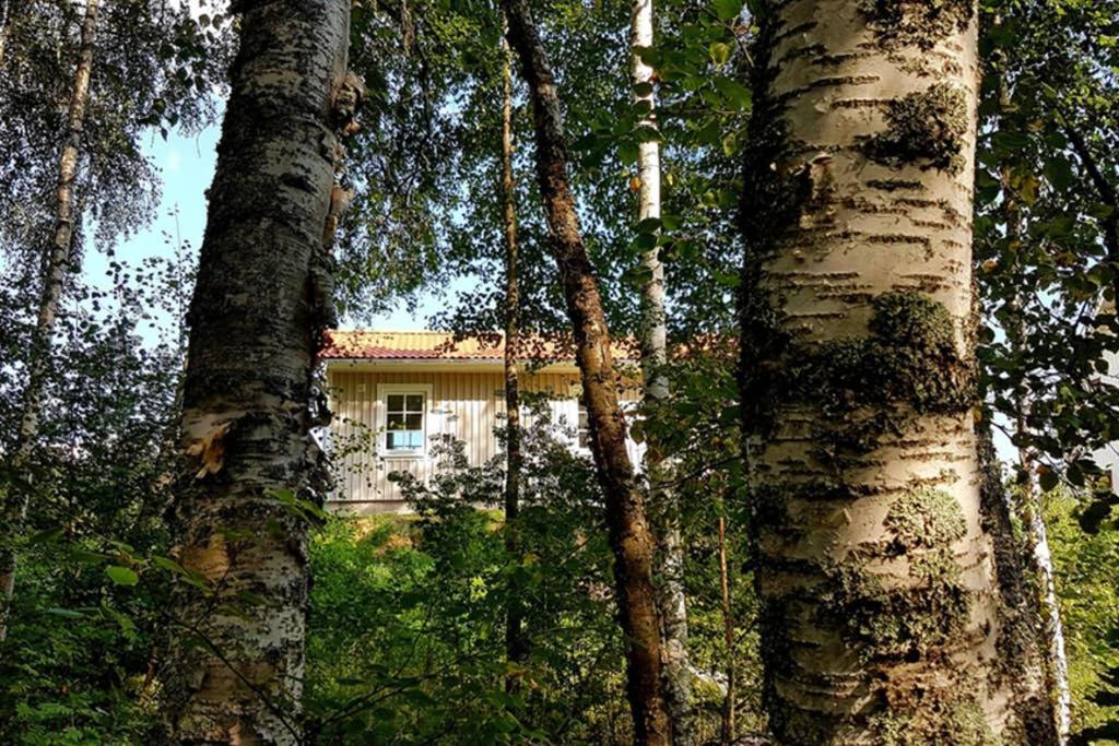 Nybyggd Stuga Intill Skogsbrynet - New Built Cottage Next To The Cowberry Forest Mora Eksteriør billede
